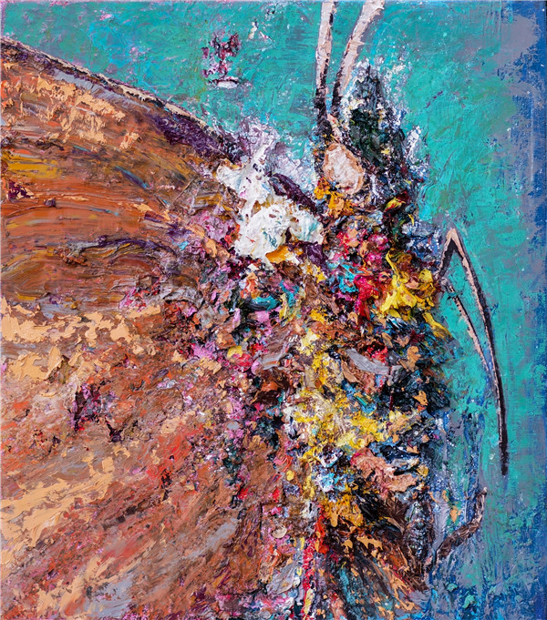 蝴蝶|翅膀之上——许华荣个展