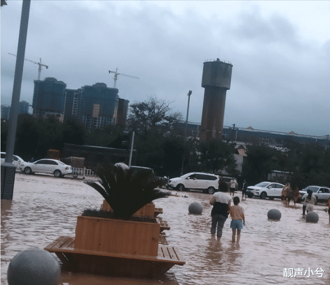 莫焕晶 郑州司机冒雨拖车，收50元拖车费被骂，男子回应：心凉了，不拖了