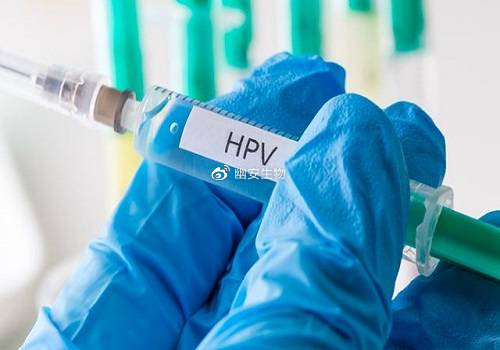 小安爱健康|关于HPV疫苗的一些问题