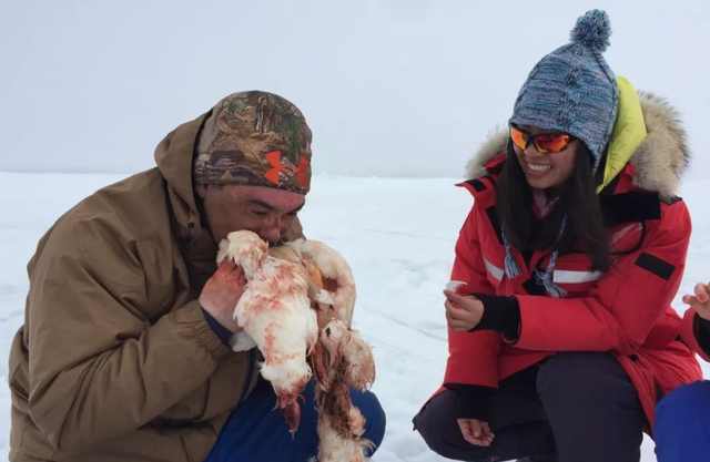 肝脏|爱斯基摩人一生只吃肉，为何不会得坏血症？真相让人反胃