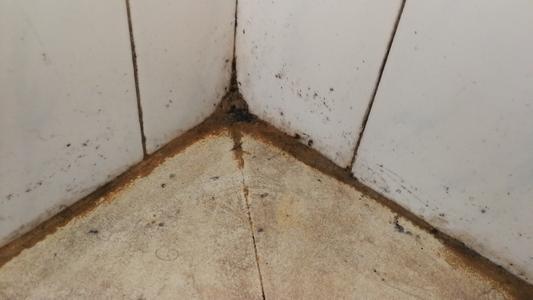 地板|建议女人：若不缺钱，卫生间尽量备上这3样高级货，档次立马提升