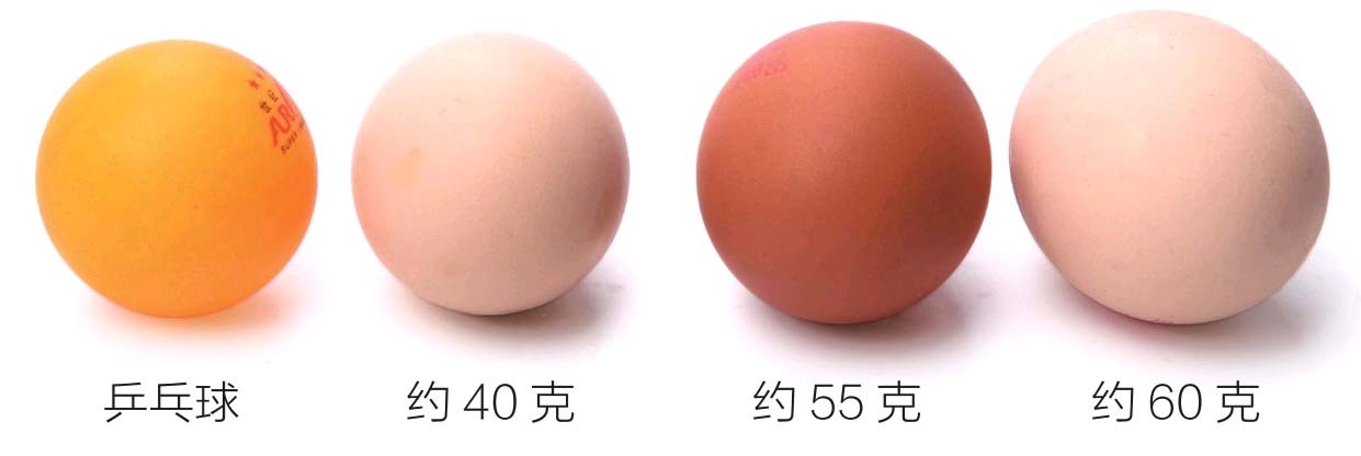 畜禽肉、水产品和蛋有什么营养?