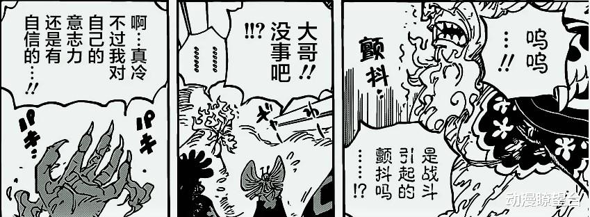 奎因|海贼王1007话情报:解药研制成功,乔巴暴揍奎因,黑影身份曝光