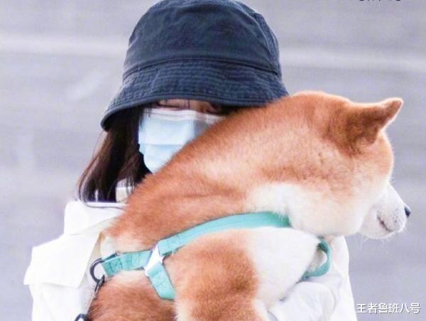 郑爽|郑爽退圈后, 首次登录账号改“动态”, 新简介看傻粉丝：这下完了