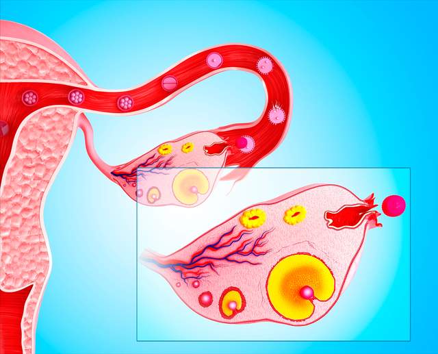 添丁之喜 什么是输卵管复通术,输卵管复通术痛不痛?
