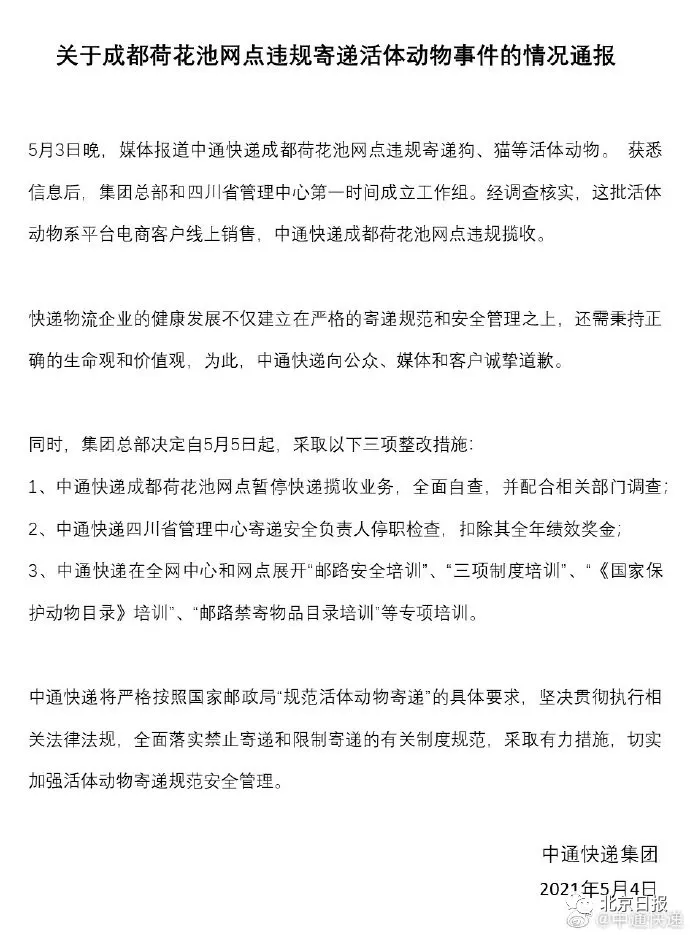 半岛晨报 数十只猫狗尸体已发臭,又有“宠物盲盒”曝光!官方通报