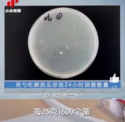 160健康研究所|隔夜冰西瓜要命，一口吃下8400个细菌！想要吃瓜，医生建议这样做