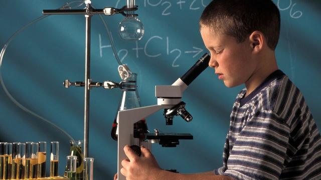 孕妈酱|孩子将来是不是学霸,或许从小有征兆,有这4个特点就偷着乐吧