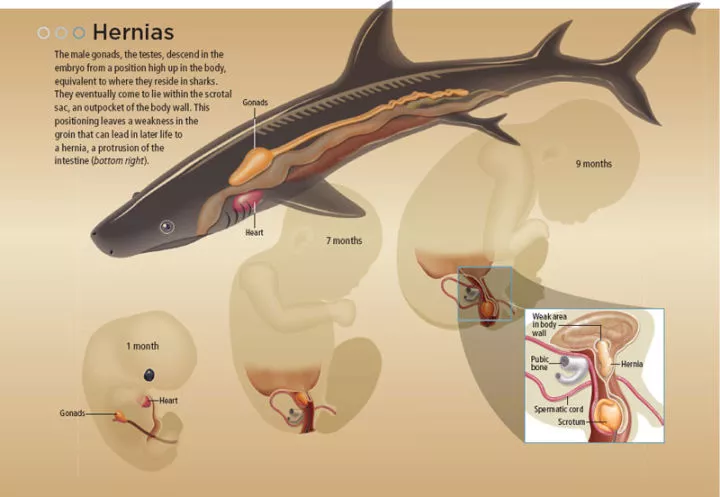  人的7大缺陷，有一个你绝对意想不到~
