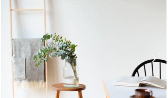 蔡宏志聊时尚|美学家居：用“绿植”装点房间，究竟有多雅致？