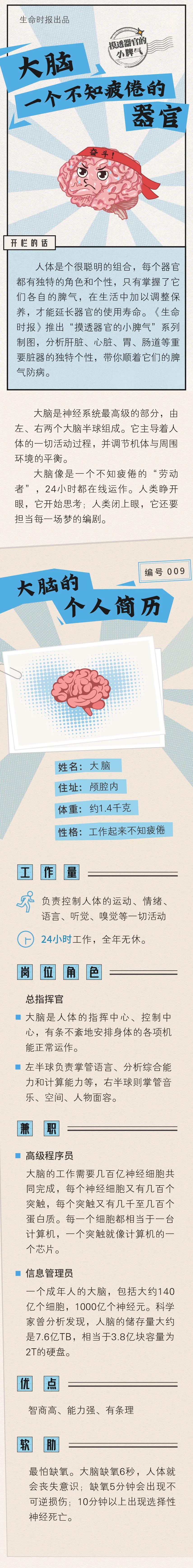 大脑,一个「不知疲倦」的器官……