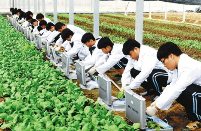 国企|深受烟草公司喜爱的专业,竞争小上岸的机会大, 更容易拿到铁饭碗