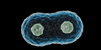 基因 地球与人类的前世今生,以及未来,你了解吗?