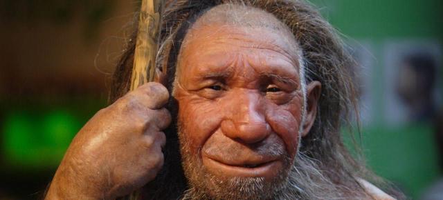 连猩猩都打不过，人类这么弱，人类祖先是怎么活下来的？