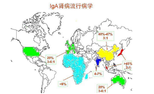 经络穴位理论敷熨 肾友数量最多的一种肾病，看这篇就够了 | IgA肾病专题