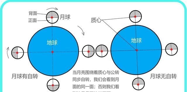 月球 我们永远只看到月球的脸,后脑勺从来未见,它到底有自转吗?