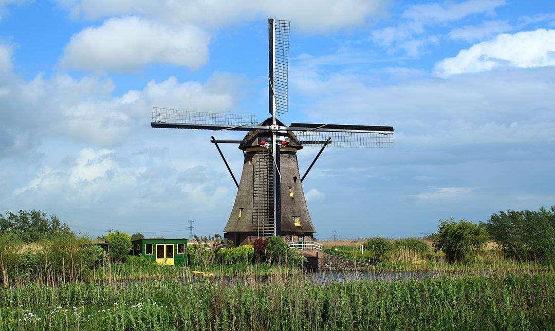 泪水迷失了双眼|朋友不多，但各个交心的星座，人缘好，却只求三五知己