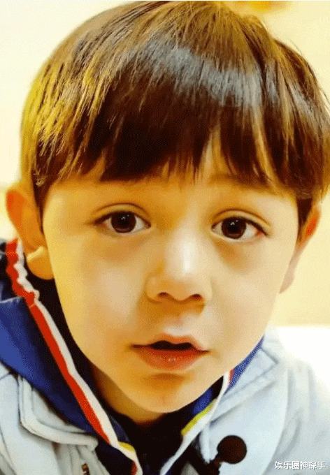 刘烨|刘烨妻子晒孩子照片，11岁诺一帅气依旧，兄妹俩均有出境