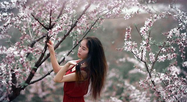 梦缘易八字命理|官杀被克财星弱的八字，对感情要求高婚姻难如意，何时桃花运最旺