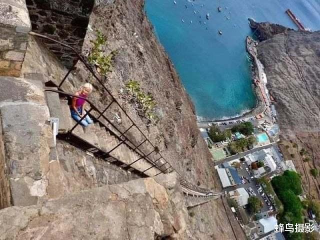 海豹 44张活久未见的照片，驴居然叼着一只狼，大白鲨撞飞海豹跃出水面捕食
