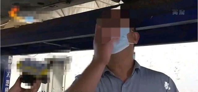 植物 杨先生车被撞4S店维修报价5万多元，找到负责人他拔腿就跑！