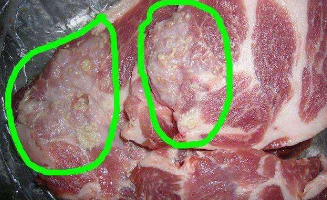 雄性激素|猪身上4个部位,有可能“藏毒”,看到扭头就走,肉贩:发现了?