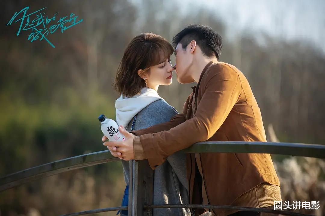 周生如故|2021年十佳网剧，《周生如故》排在第八，你追过哪几部？