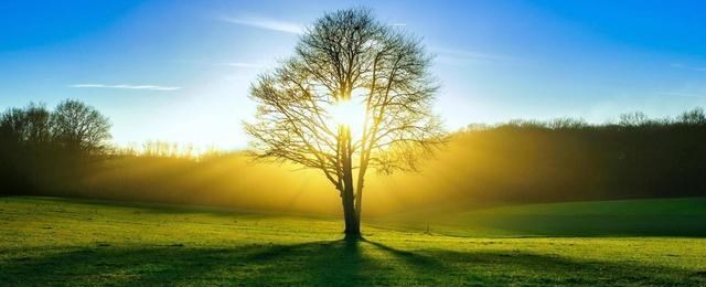 邹俊岚说 女教师嗜赌成性向学生家长借债，无力偿还后自杀：包含低保家庭