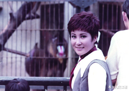 向华强|向华强和新义安一刀两断，向佐当选全国青联委员，从此和黑道再无瓜葛