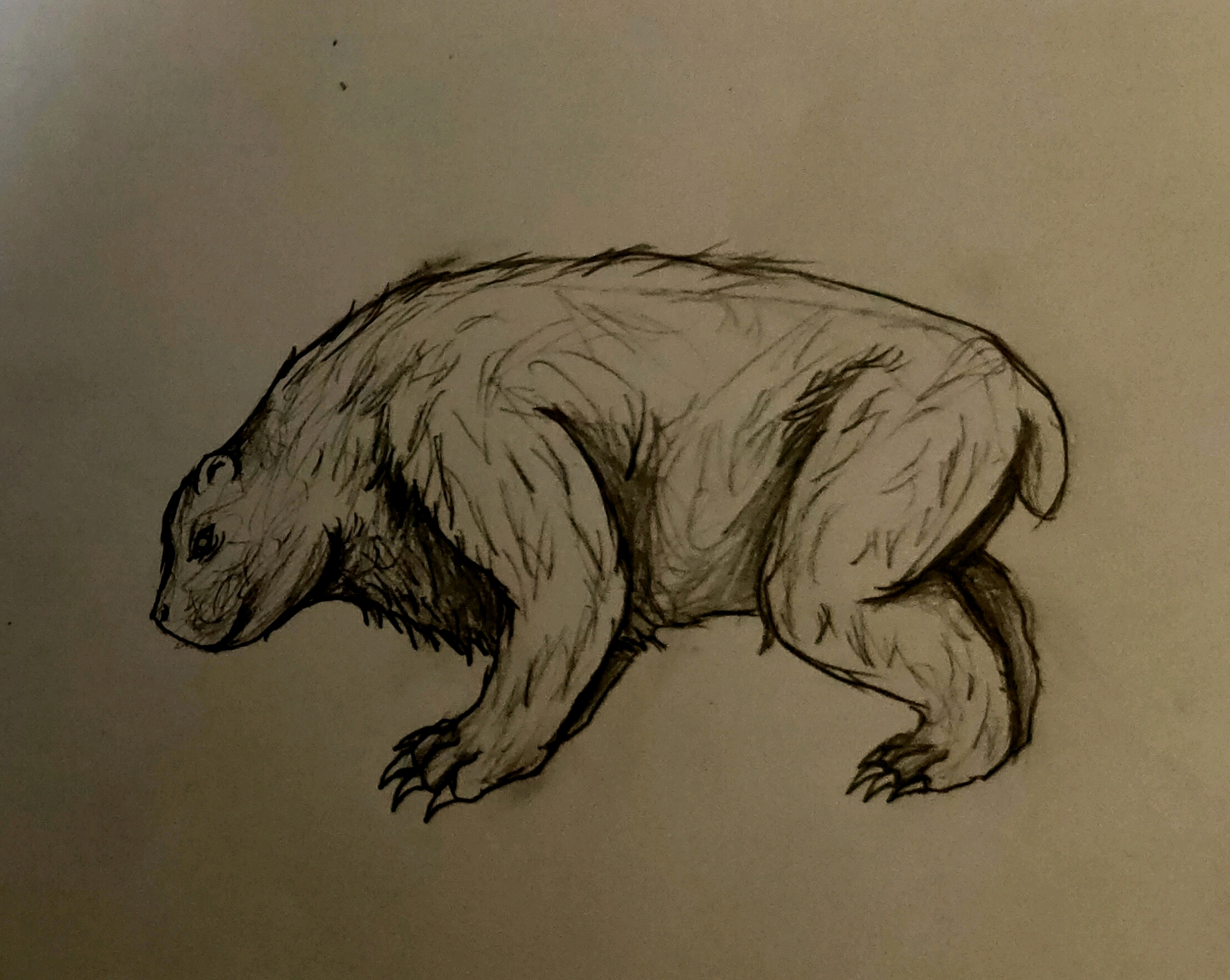  盘点远古时期曾出现过的巨型生物