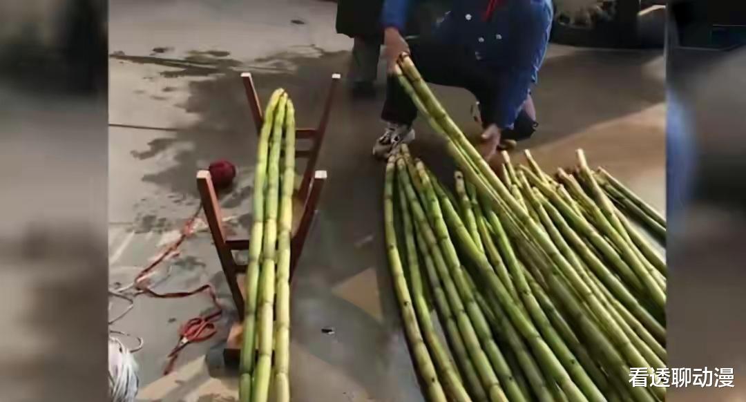 江苏南通“老人卖甘蔗被收走后大哭”网友:看着眼泪自己流!