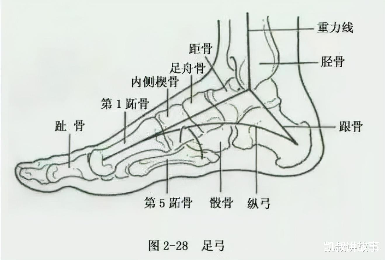 凯叔讲故事|《2021最新童鞋黑名单》:最伤孩子的四种鞋,千万别再穿了,尤其第一种