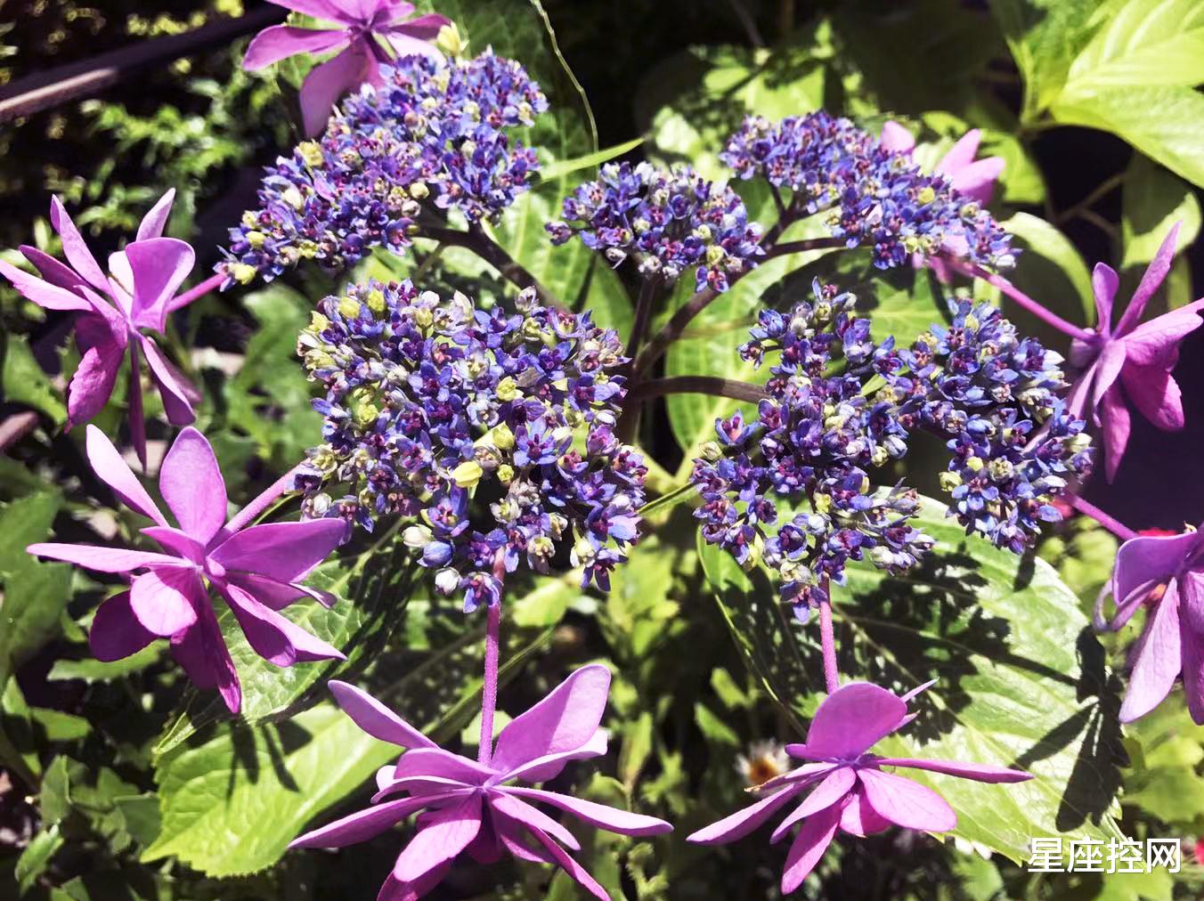 |啥日子出生的人，生活有奔头，5月撞大运，有贵人带着飞！