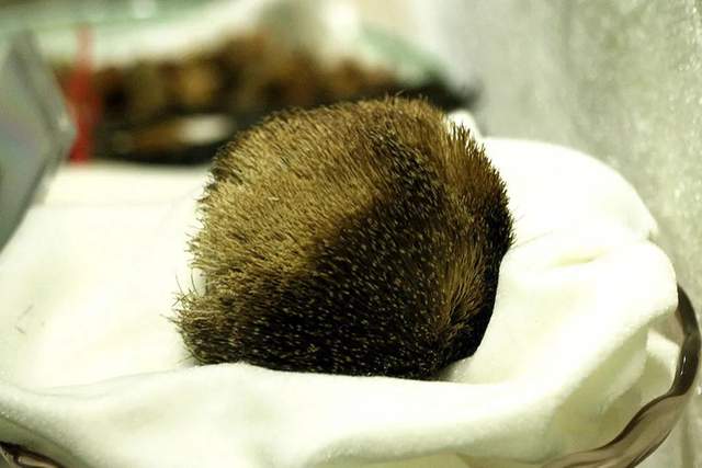 母婴参考|我国古代有四种避孕方式，唯一不太伤女性的，却难以让男人接受