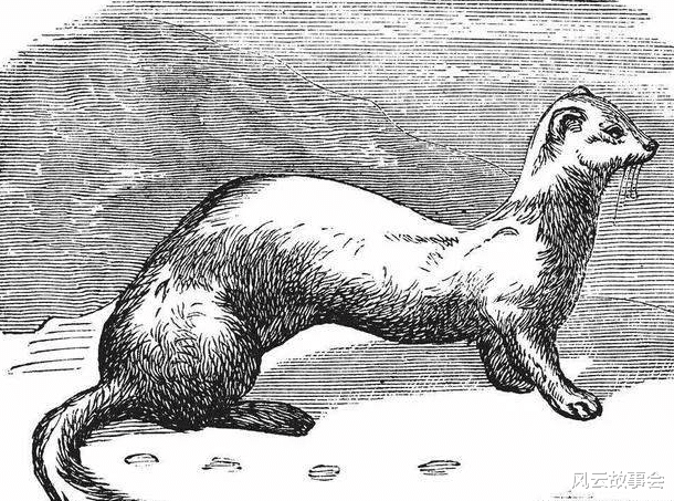 风云故事会|民间故事:全村人偷西瓜,多年后,种瓜人却叩谢偷瓜人