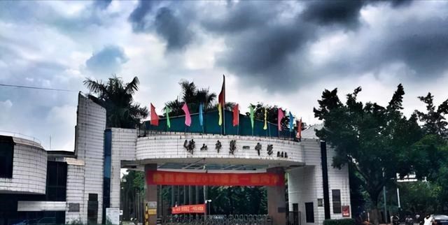 家有二宝育儿|广东“很牛”的4所高中,被誉为“名校收割机”,深圳中学成赢家