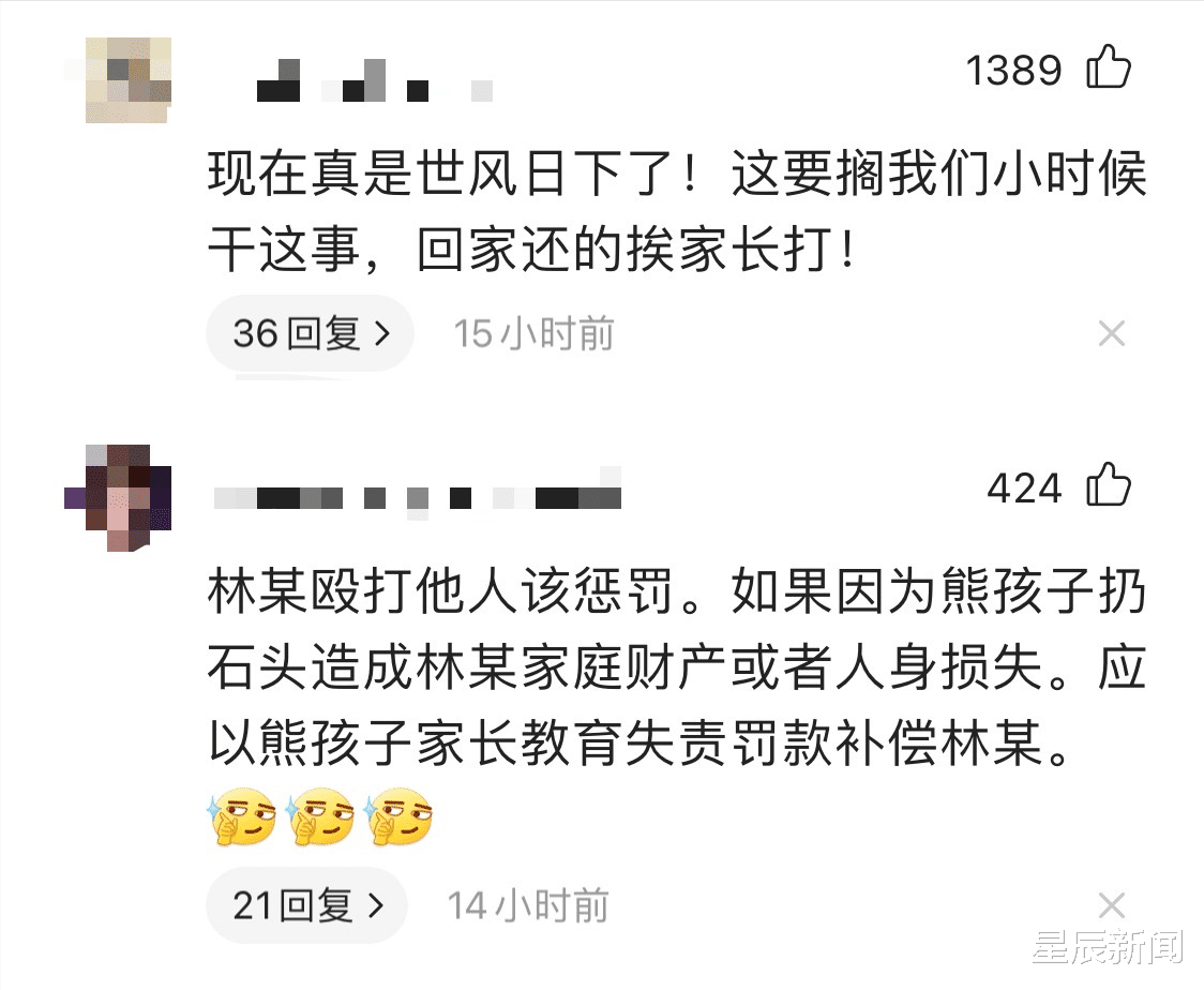 星辰新闻 熊孩子往村民家中扔石头挑逗,遭当街追打,掌掴脚踹一分钟,孩子家长:将起诉