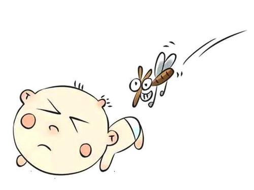 蚊子|炎炎夏日，蚊虫高发，不堪其扰！该如何防蚊？