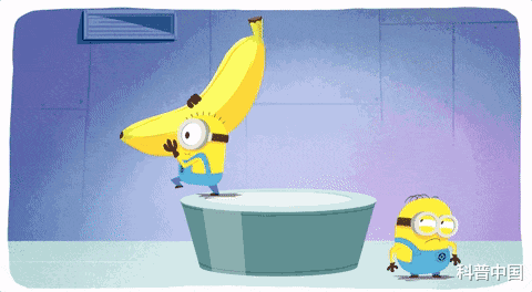 椰子油|香蕉里有\蠕虫\，食用后12小时会脑死亡？多数人都不知情