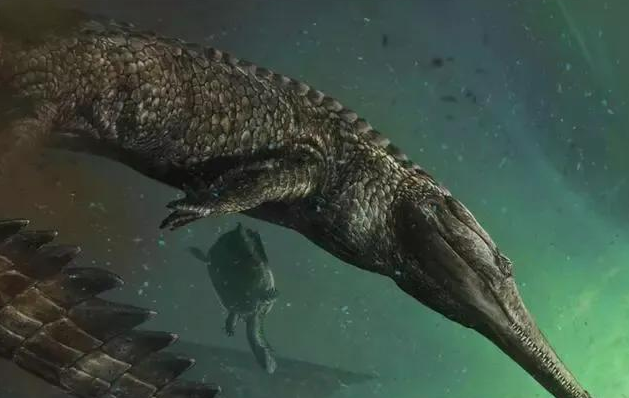 哺乳动物|地质中新世时期,是猿类和原始人的黄金时代