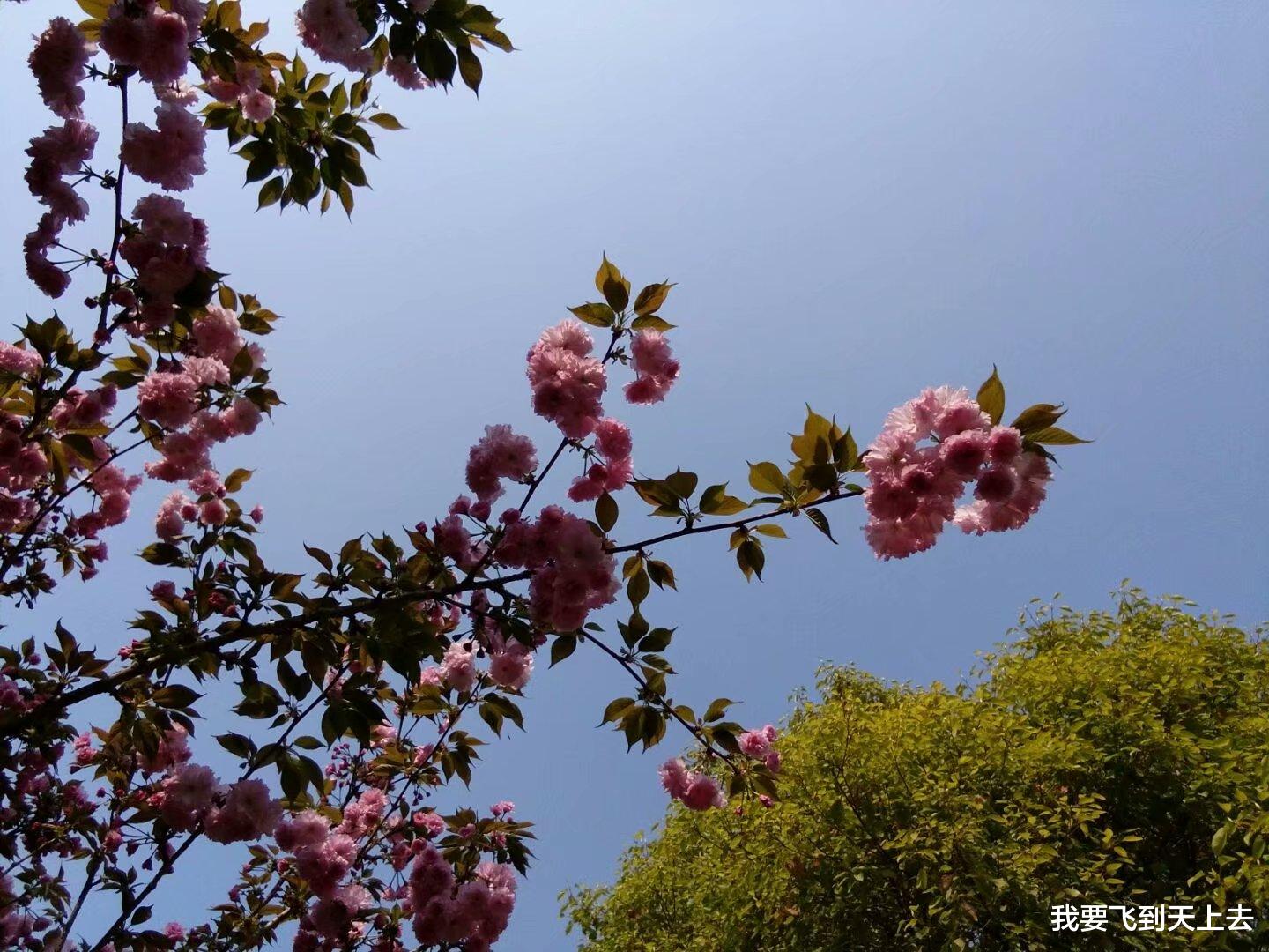 我要飞到天上去 我找到了农村里的一些妻子跑路的真正原因