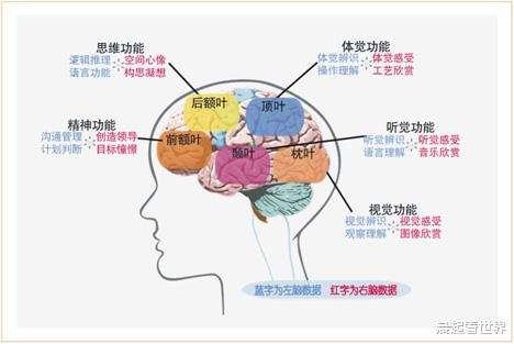 晨起看世界|情绪稳定是成年人的必修课吗?