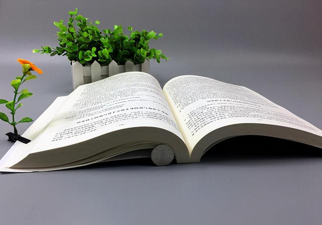 防冻液|每天都在假装吃饭