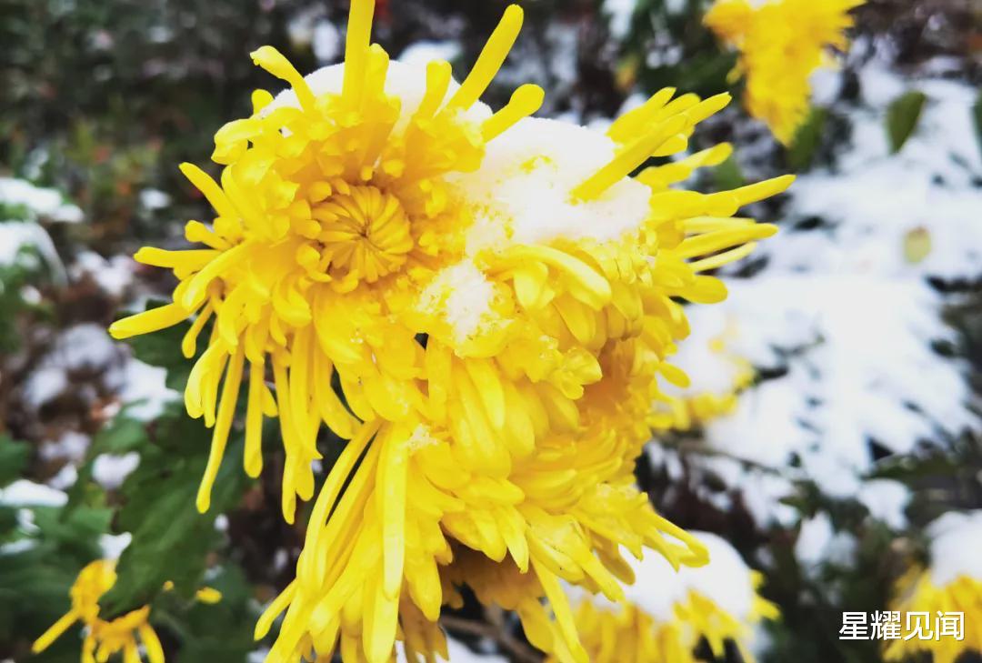 温泉|立了冬飘了雪，来卢氏汤河温泉开启温暖冬天！