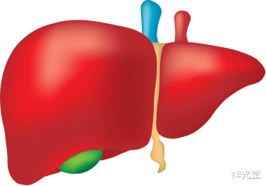 祥光堂|养肝的“黄金时段”在早晨，医生提醒：3种习惯或有助肝脏养好