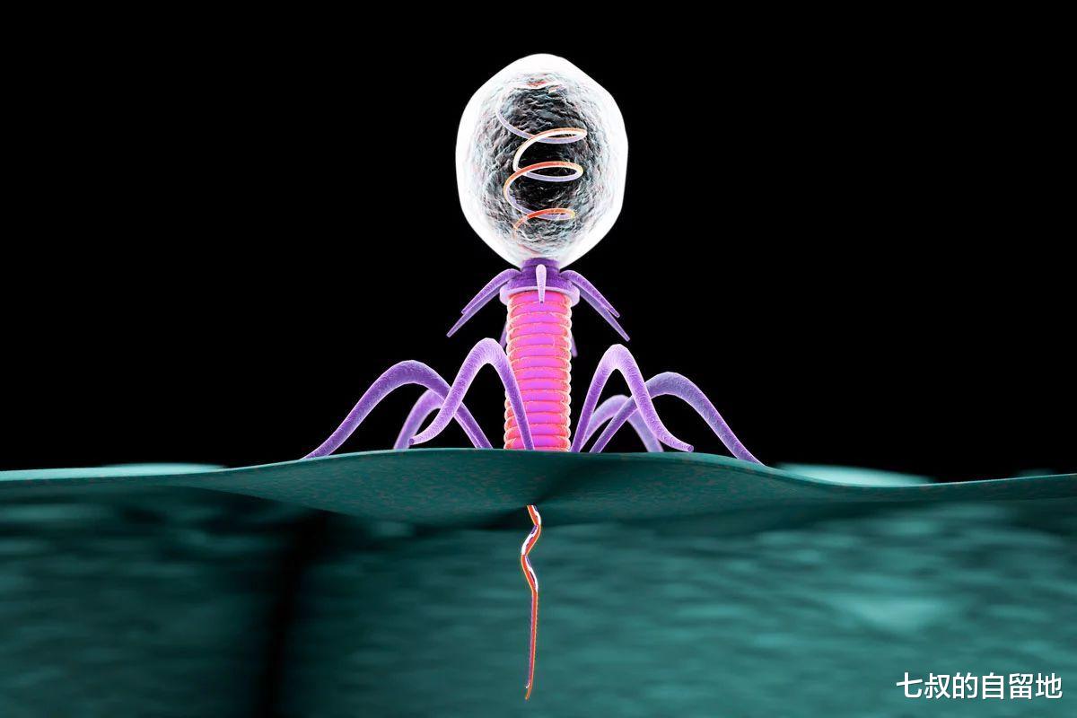 免疫系统 新冠状病毒什么时候可以消失呢？