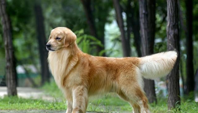  迄今为止，学者们依然无法发现答案的7个问题，等你来回答！