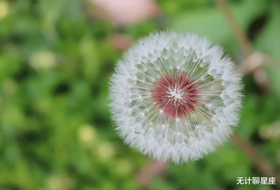 射手座|未来三年，4个星座，贵人上门，帮助自己、充实自己，让你站稳脚跟