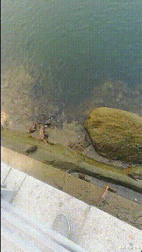 朱小燕聊情感|“网友说,他老婆出差的时候,给他带了一些绿色的橘子!”神评扎心了哈哈哈