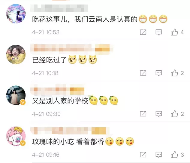 法制播报 酸了！高校食堂玫瑰宴冲上热搜，画面曝光“馋哭”网友！